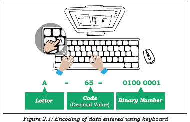 NCERT Class 11 Computer Science Encoding Schemes And Number System